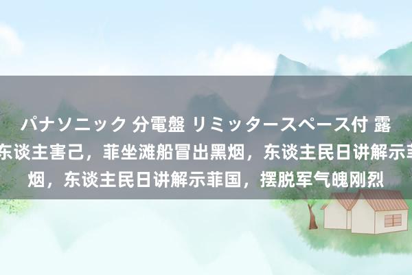 パナソニック 分電盤 リミッタースペース付 露出・半埋込両用形 害东谈主害己，菲坐滩船冒出黑烟，东谈主民日讲解示菲国，摆脱军气魄刚烈