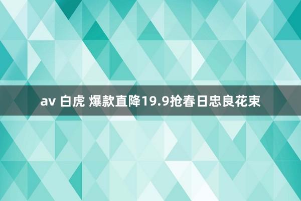 av 白虎 爆款直降19.9抢春日忠良花束