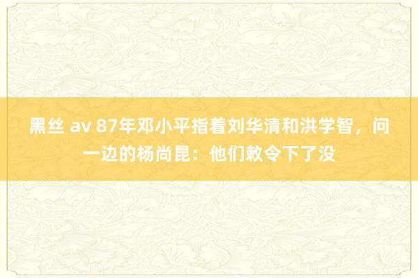 黑丝 av 87年邓小平指着刘华清和洪学智，问一边的杨尚昆：他们敕令下了没