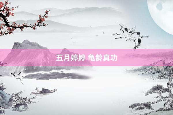 五月婷婷 龟龄真功